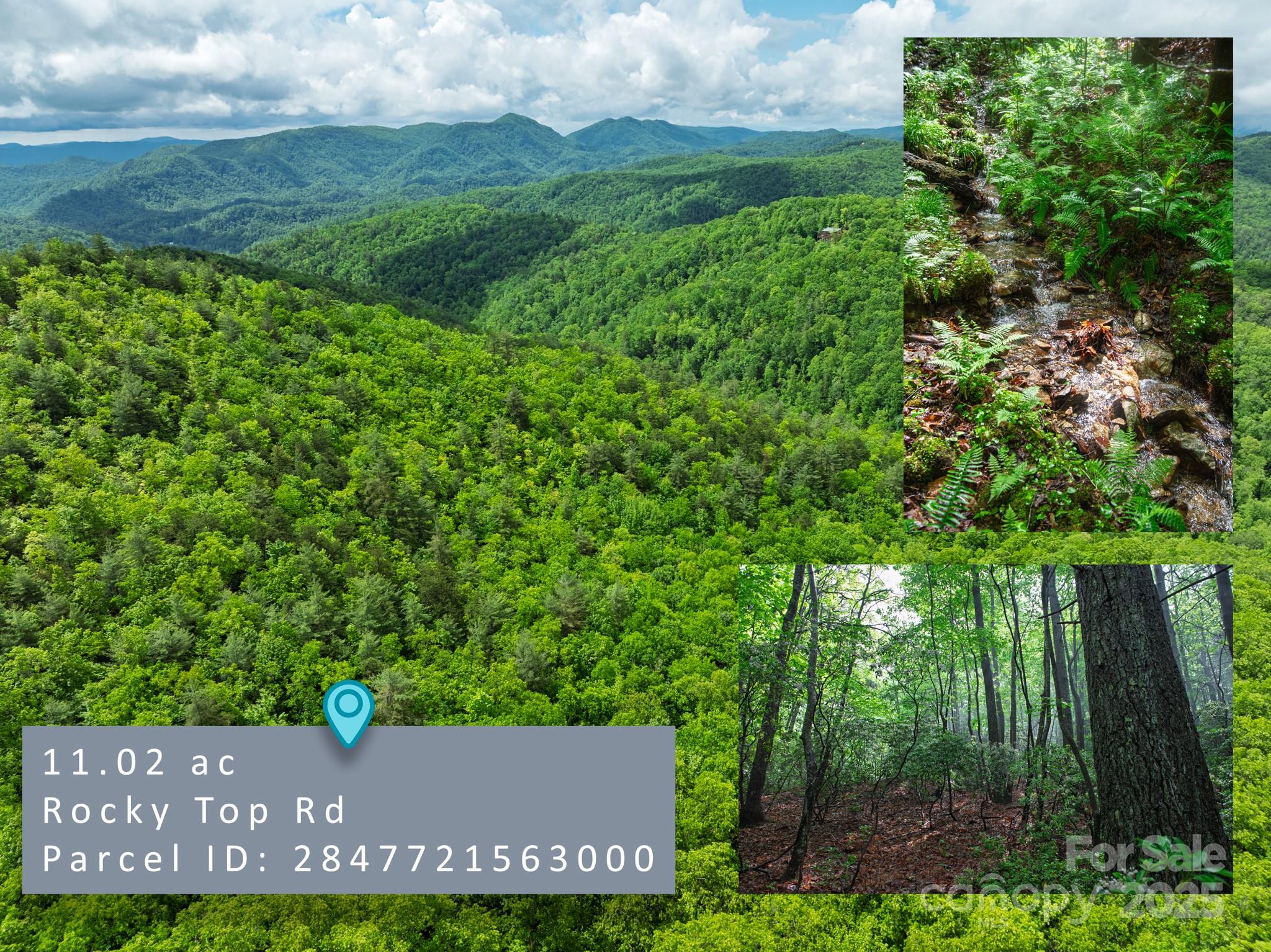 000 Rocky Top Road Lenoir NC 28645