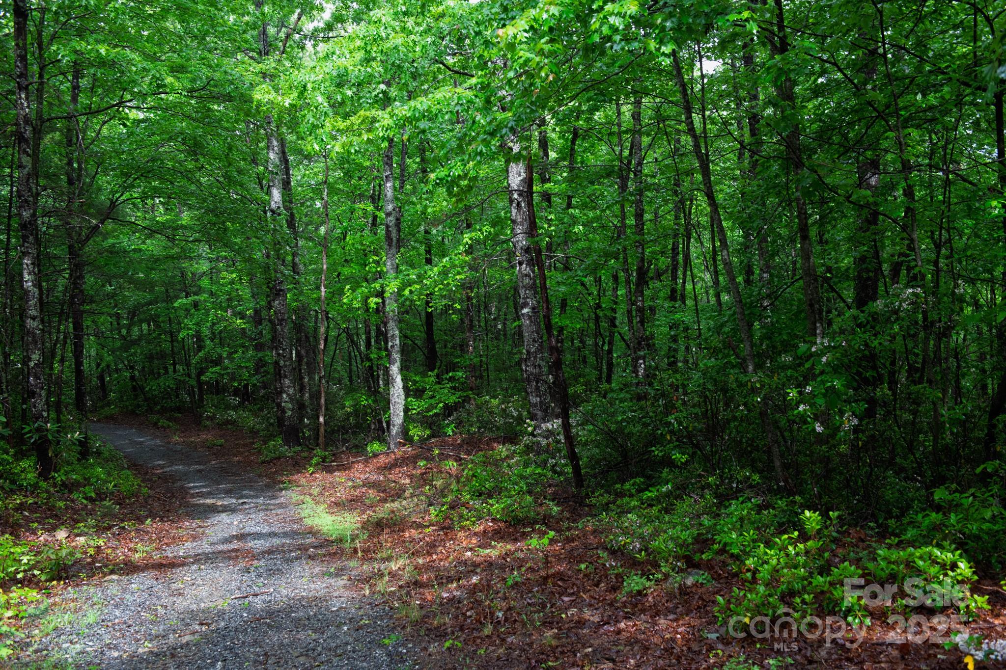 000 Rocky Top Road Lenoir NC 28645