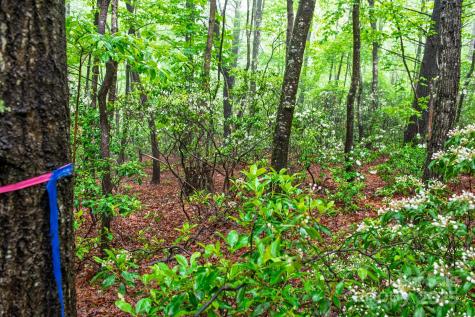 000 Rocky Top Road Lenoir NC 28645