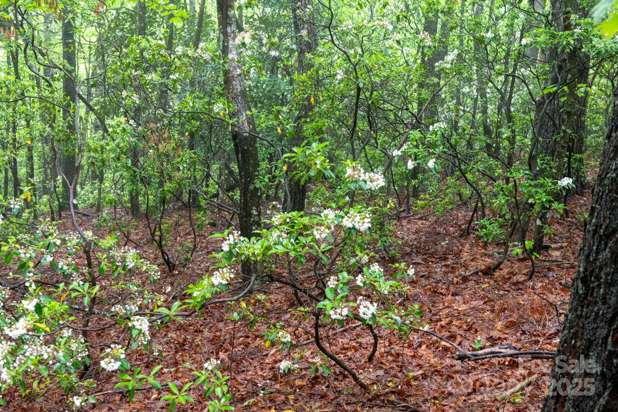 000 Rocky Top Road Lenoir NC 28645
