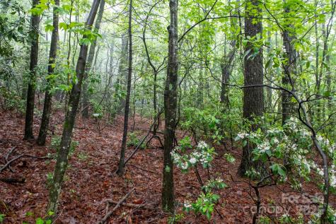000 Rocky Top Road Lenoir NC 28645
