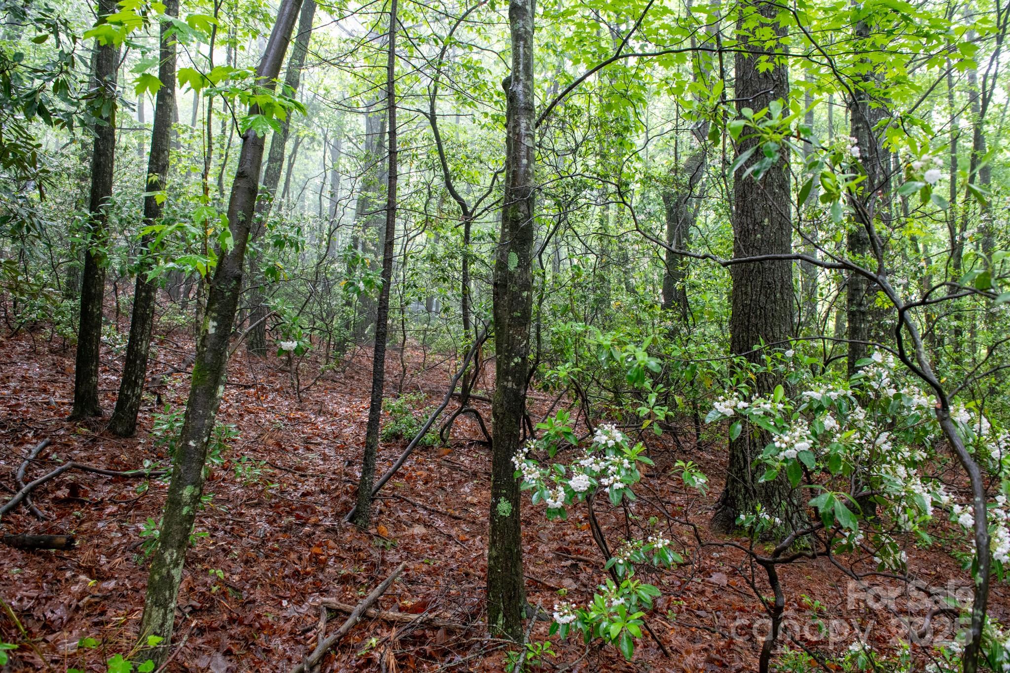 000 Rocky Top Road Lenoir NC 28645