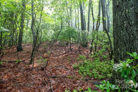 000 Rocky Top Road Lenoir NC 28645
