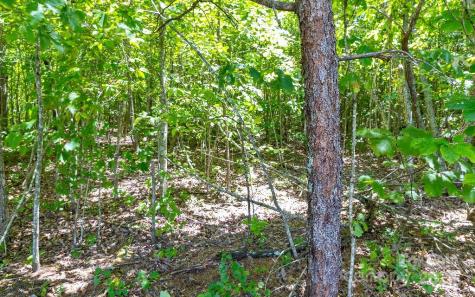 Tbd Crutchfield Road Union Mills NC 28167