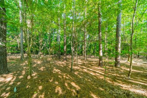 3004 Ashwood Park Drive Belmont NC 28012