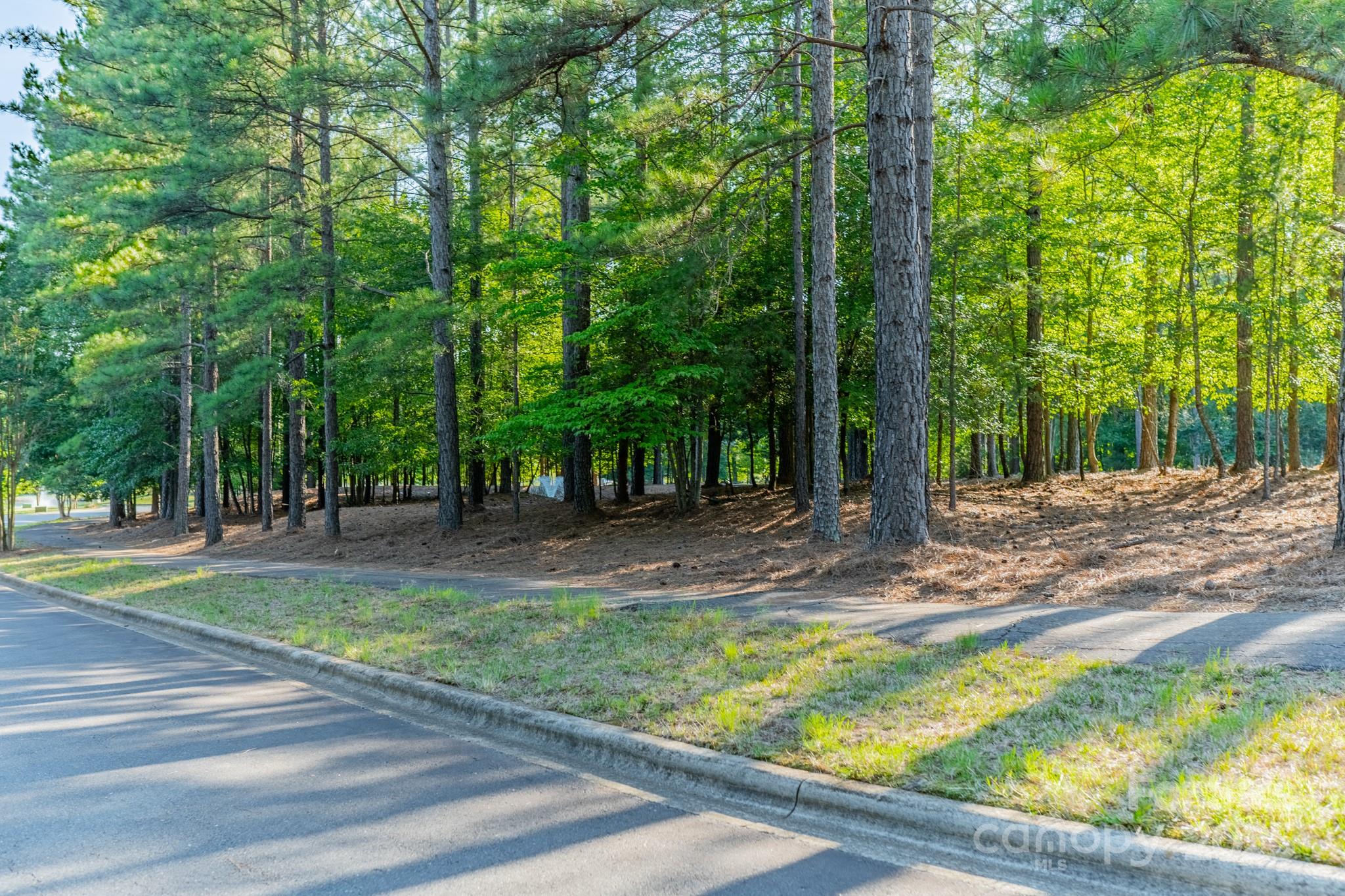 3004 Ashwood Park Drive Belmont NC 28012