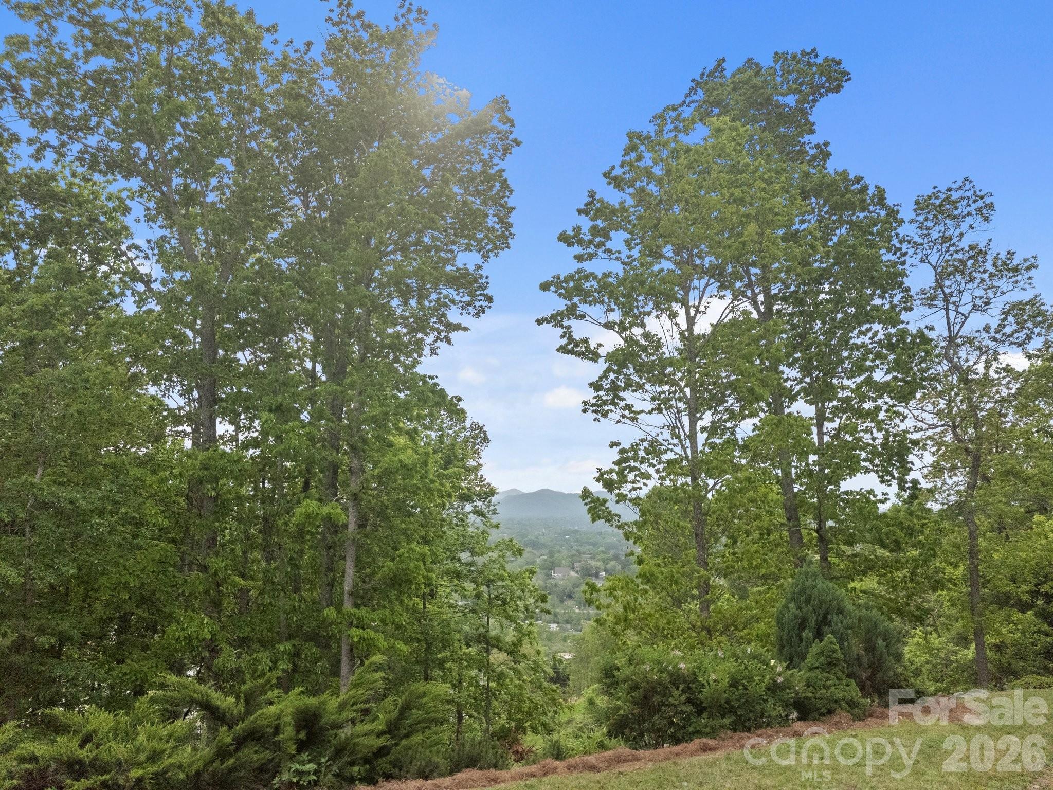 106 Mccauley Drive Asheville NC 28803