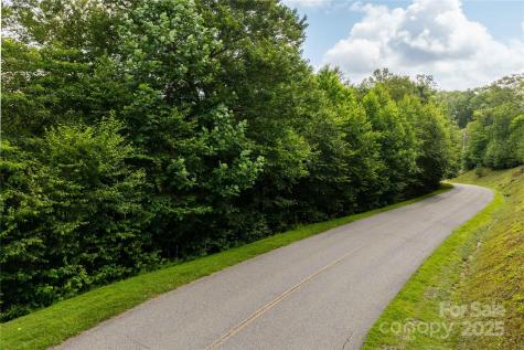 Tbd Lot 121 Firethorn Trail Blowing Rock NC 28605