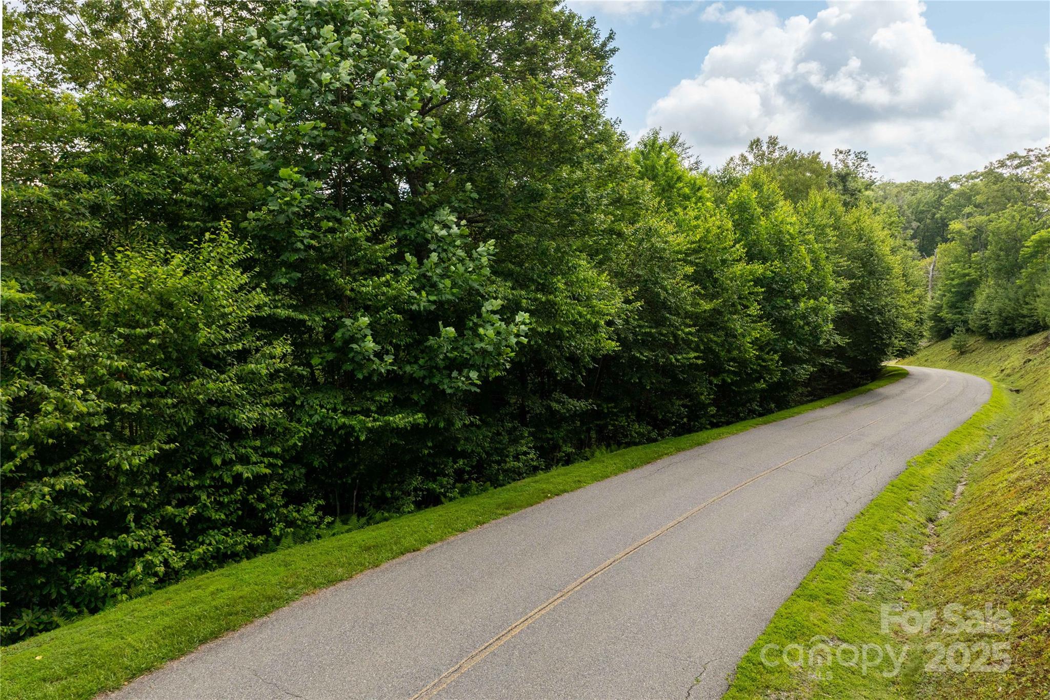 Tbd Lot 121 Firethorn Trail Blowing Rock NC 28605