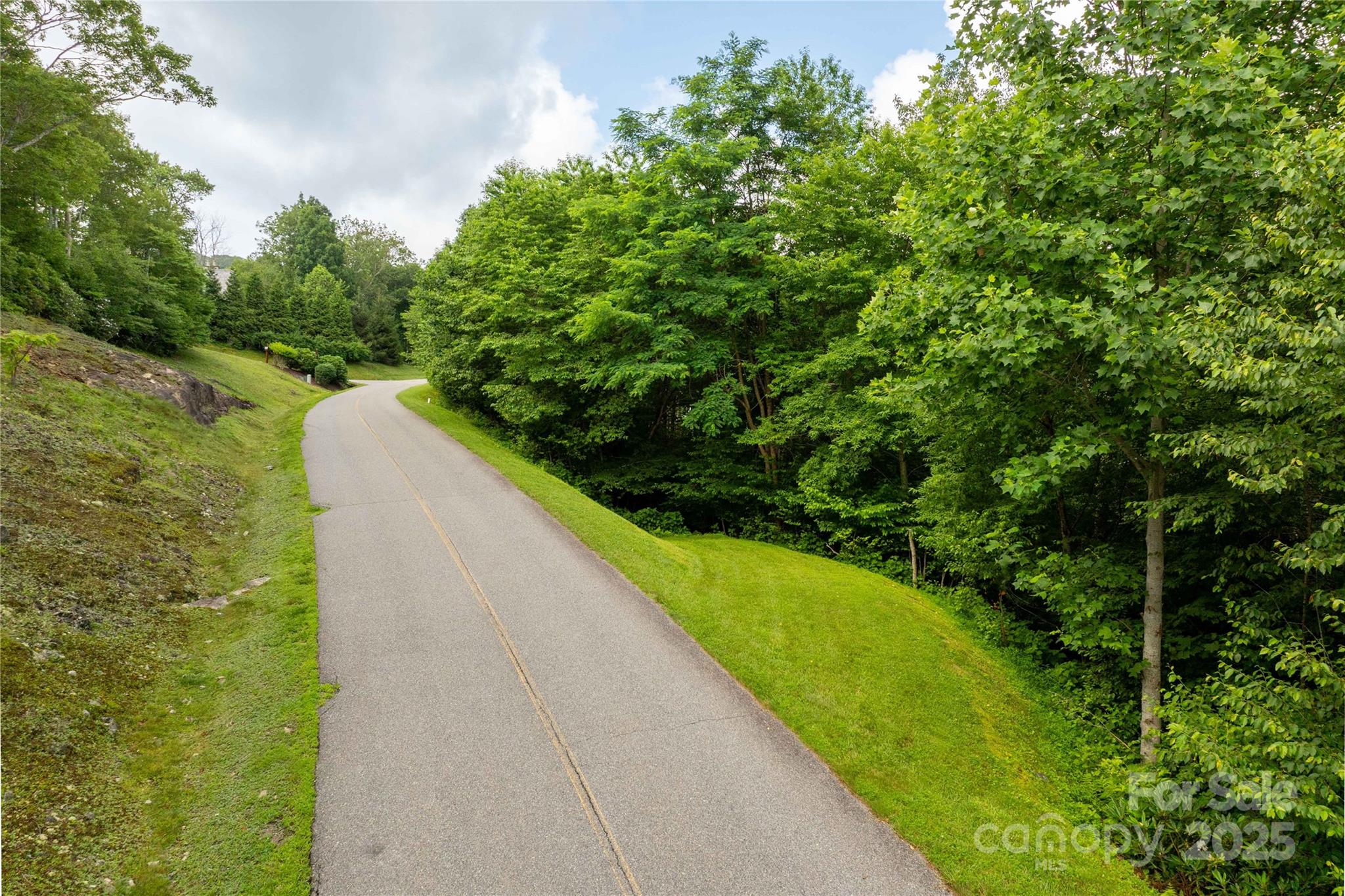Tbd Lot 121 Firethorn Trail Blowing Rock NC 28605