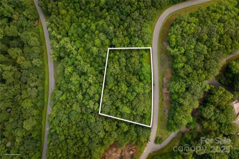 Tbd Lot 121 Firethorn Trail Blowing Rock NC 28605