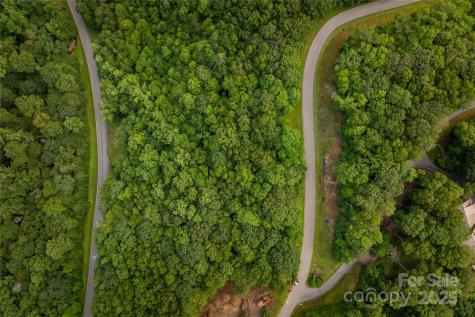Tbd Lot 121 Firethorn Trail Blowing Rock NC 28605
