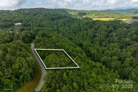 Tbd Lot 121 Firethorn Trail Blowing Rock NC 28605