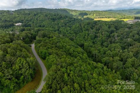 Tbd Lot 121 Firethorn Trail Blowing Rock NC 28605
