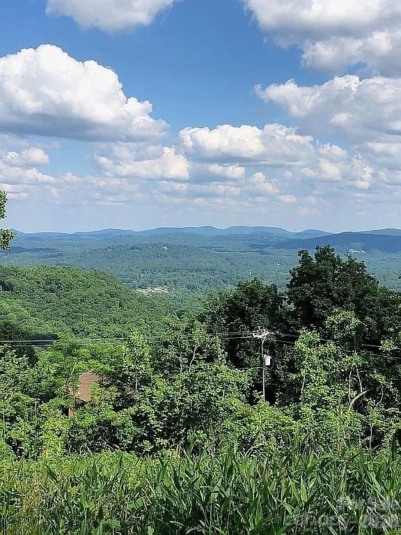 000 Alta Circle Hendersonville NC 28739