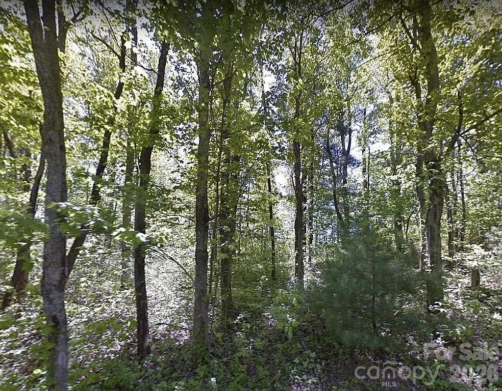 000 Alta Circle Hendersonville NC 28739