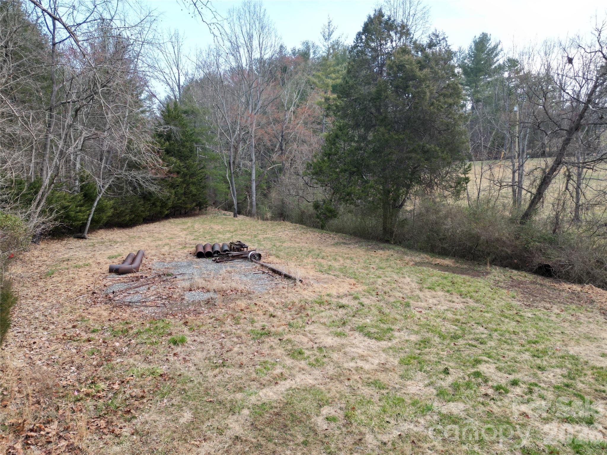 99999/46 Pug Run Weaverville NC 28787