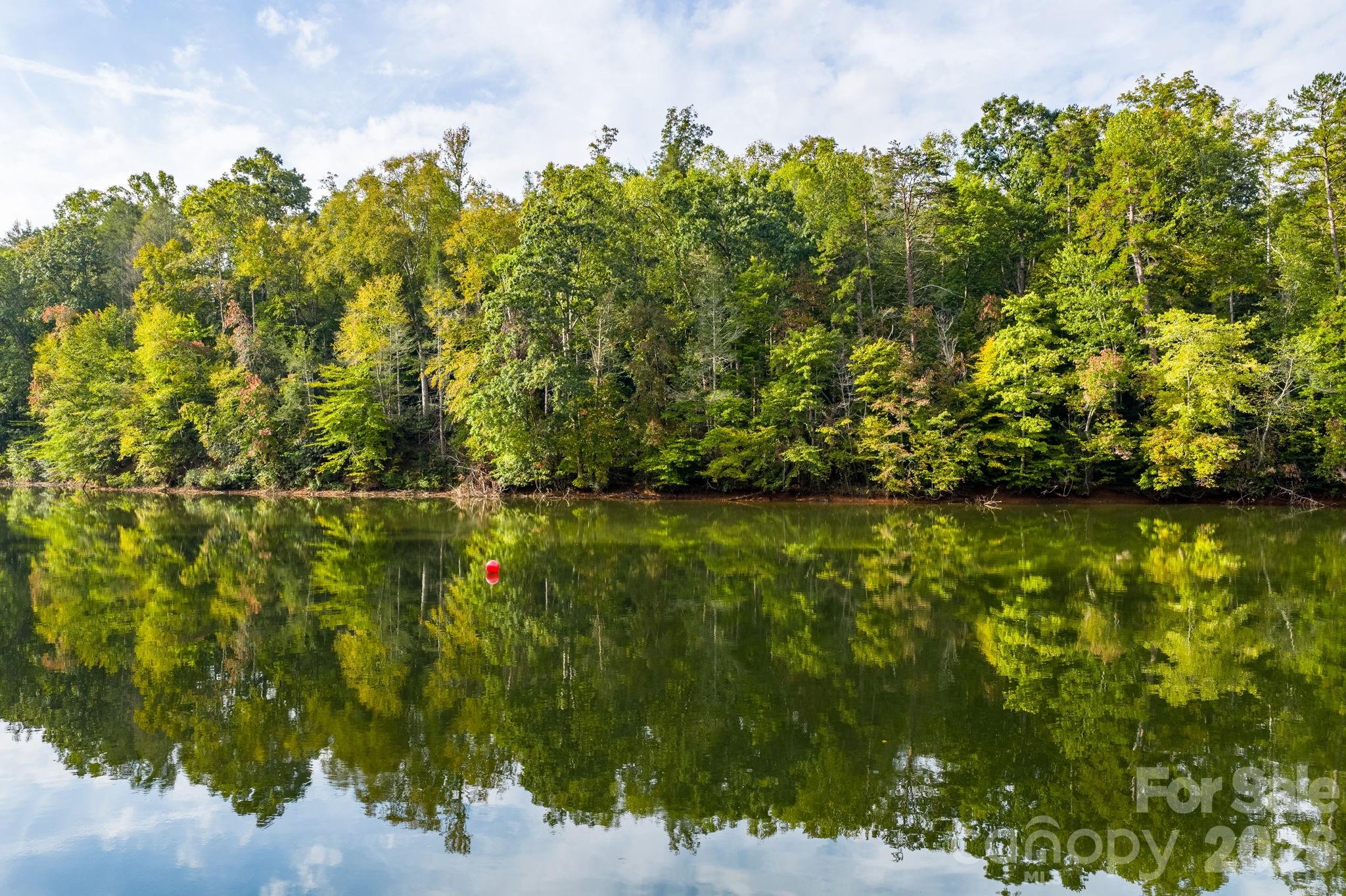 503 Larkhaven Drive Nebo NC 28761