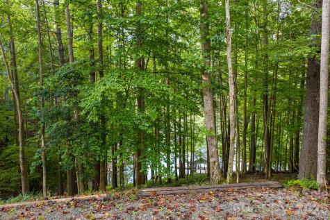 503 Larkhaven Drive Nebo NC 28761