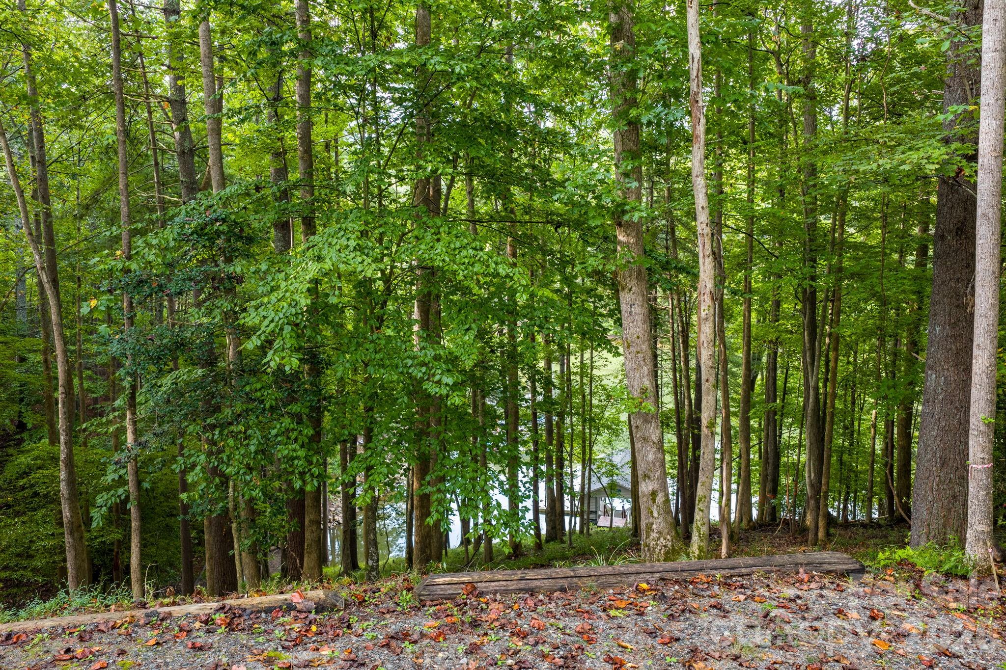 503 Larkhaven Drive Nebo NC 28761