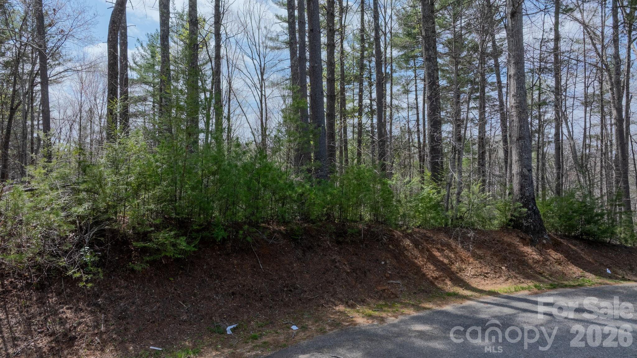 503 Larkhaven Drive Nebo NC 28761