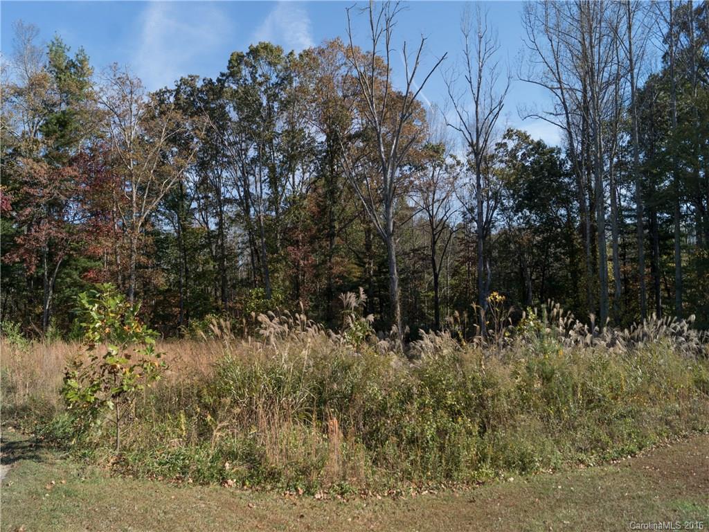 143 Hollyhock Court Flat Rock NC 28731