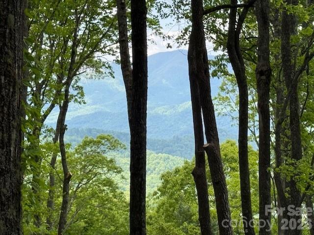 768 Boar Ridge Road Sylva NC 28713
