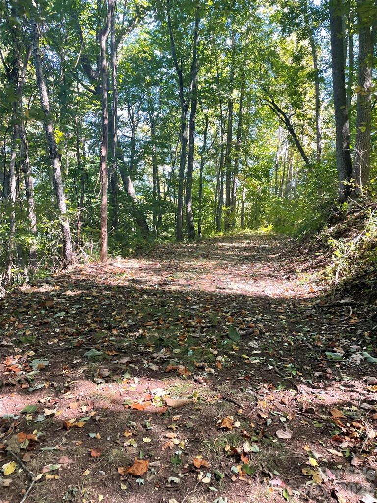 768 Boar Ridge Road Sylva NC 28713