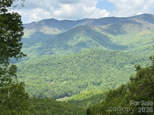 768 Boar Ridge Road Sylva NC 28713
