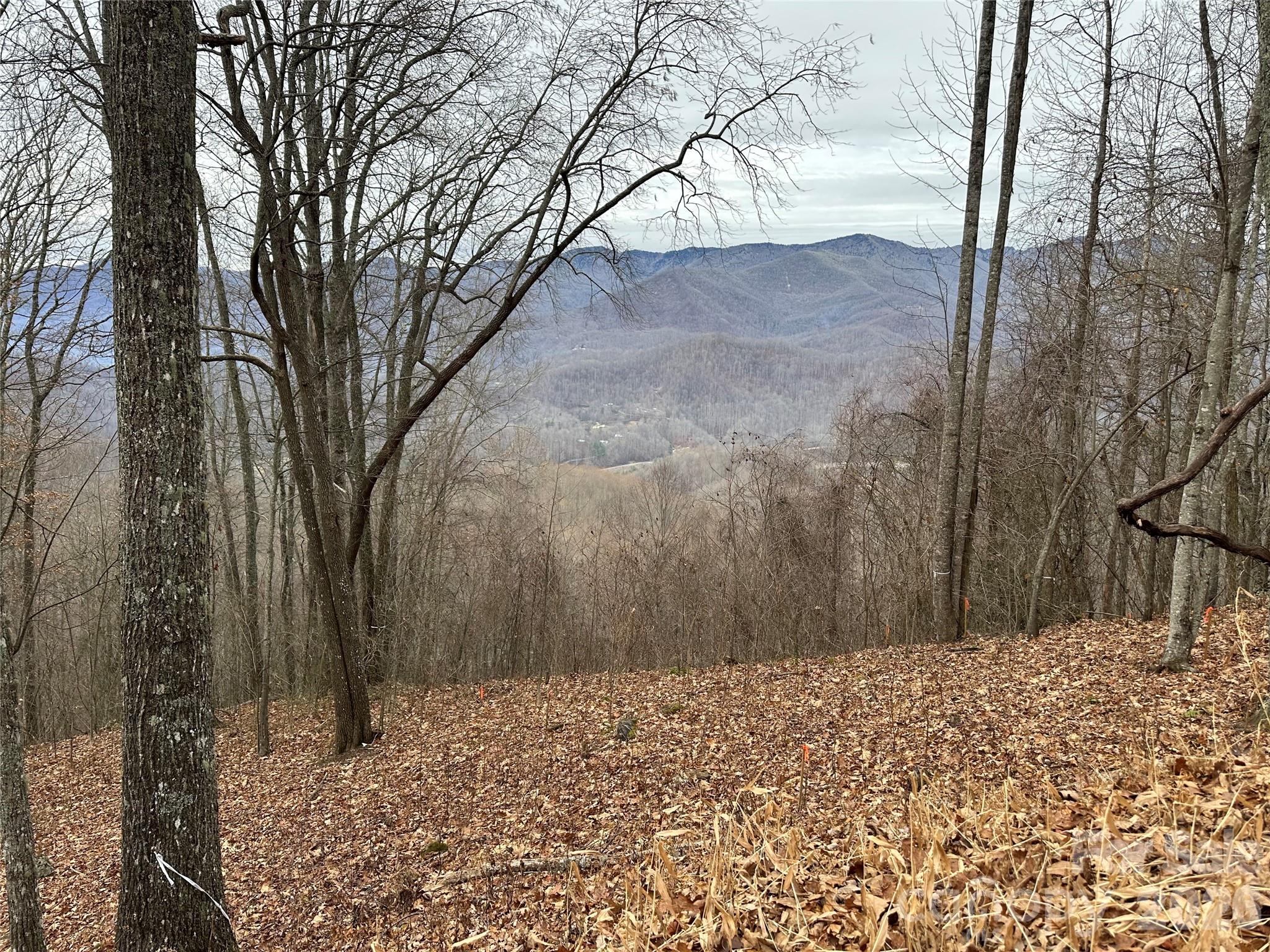 768 Boar Ridge Road Sylva NC 28713