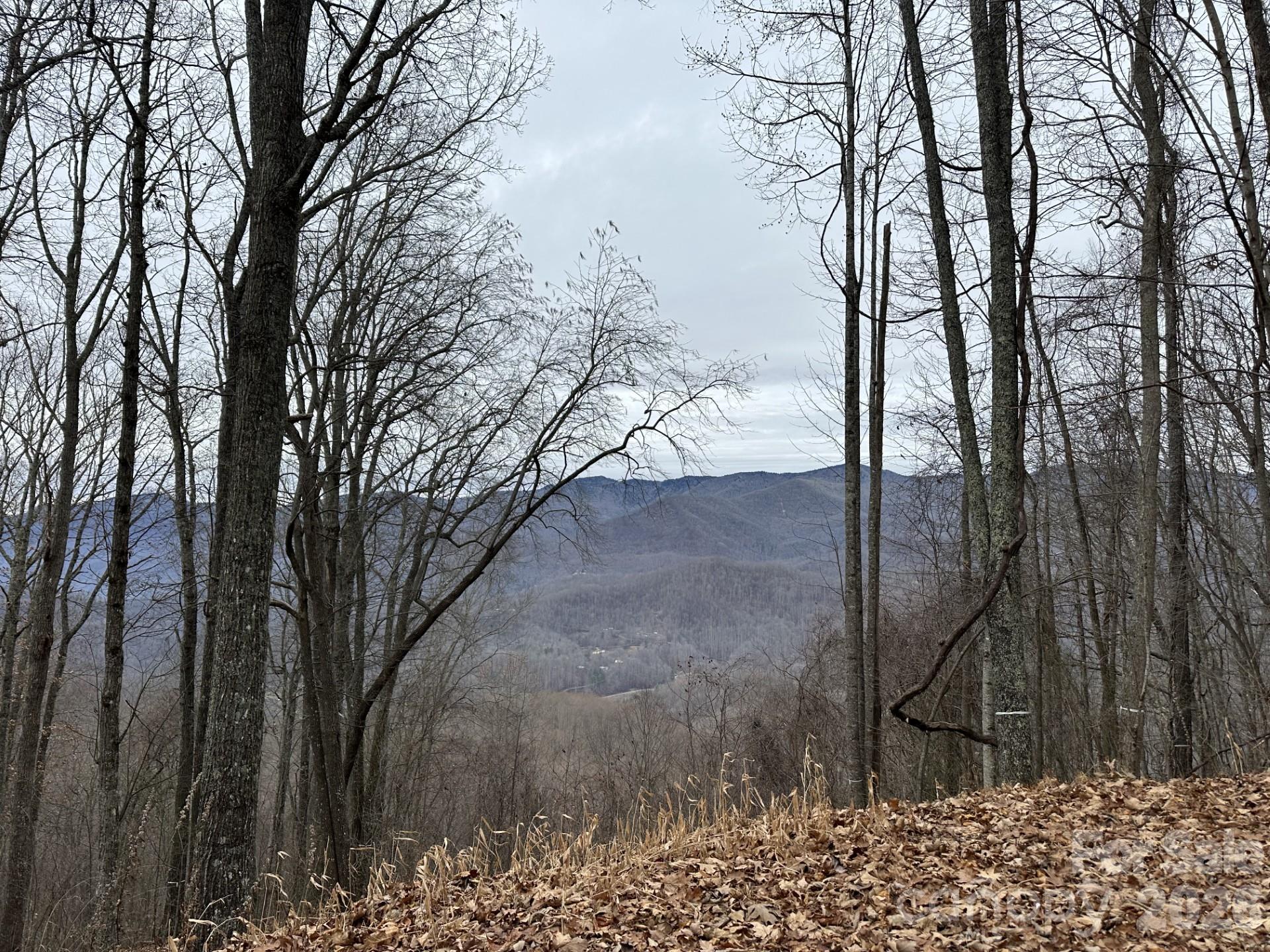 768 Boar Ridge Road Sylva NC 28713
