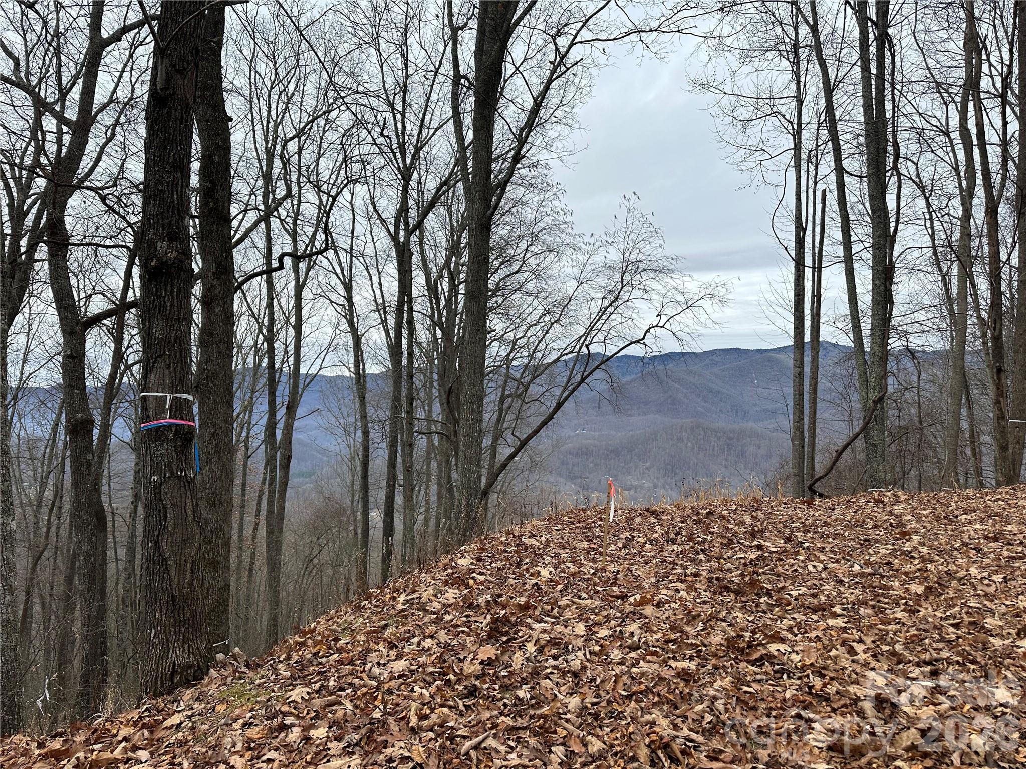 768 Boar Ridge Road Sylva NC 28713