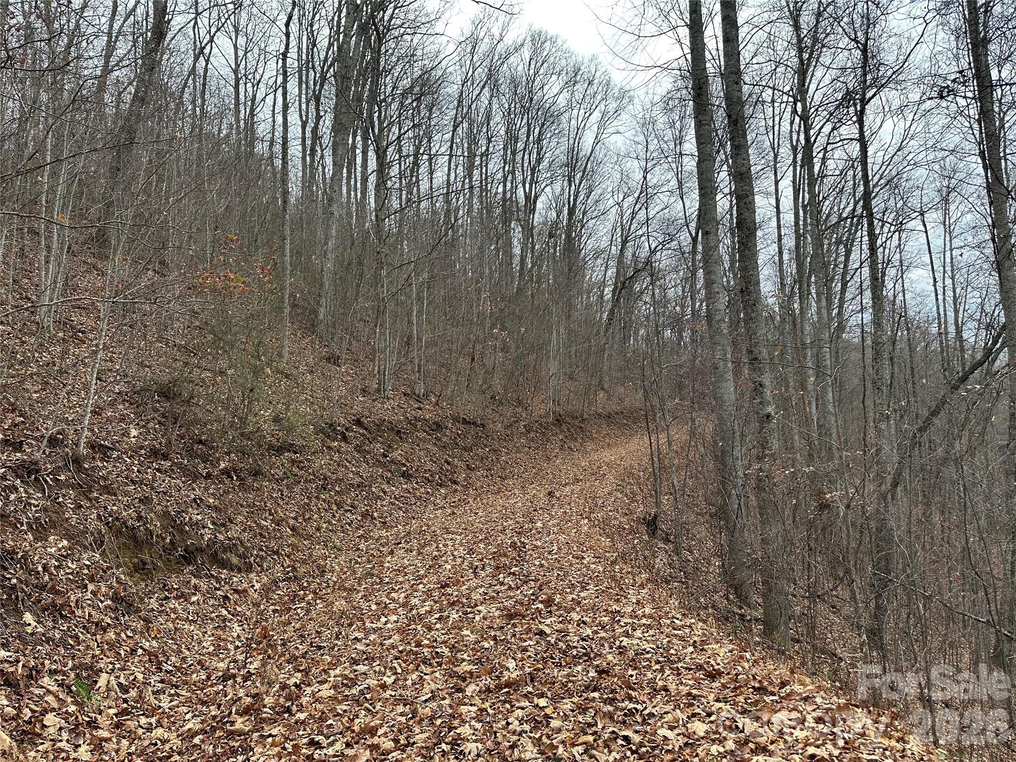 768 Boar Ridge Road Sylva NC 28713