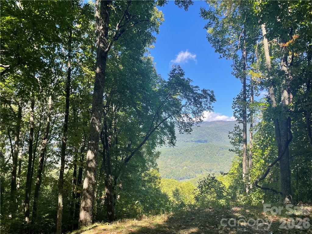 768 Boar Ridge Road Sylva NC 28713