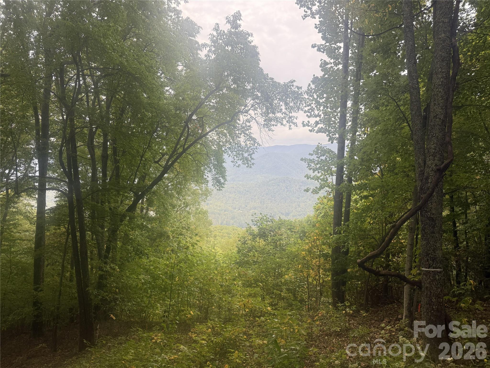 768 Boar Ridge Road Sylva NC 28713