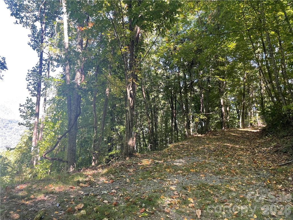 768 Boar Ridge Road Sylva NC 28713
