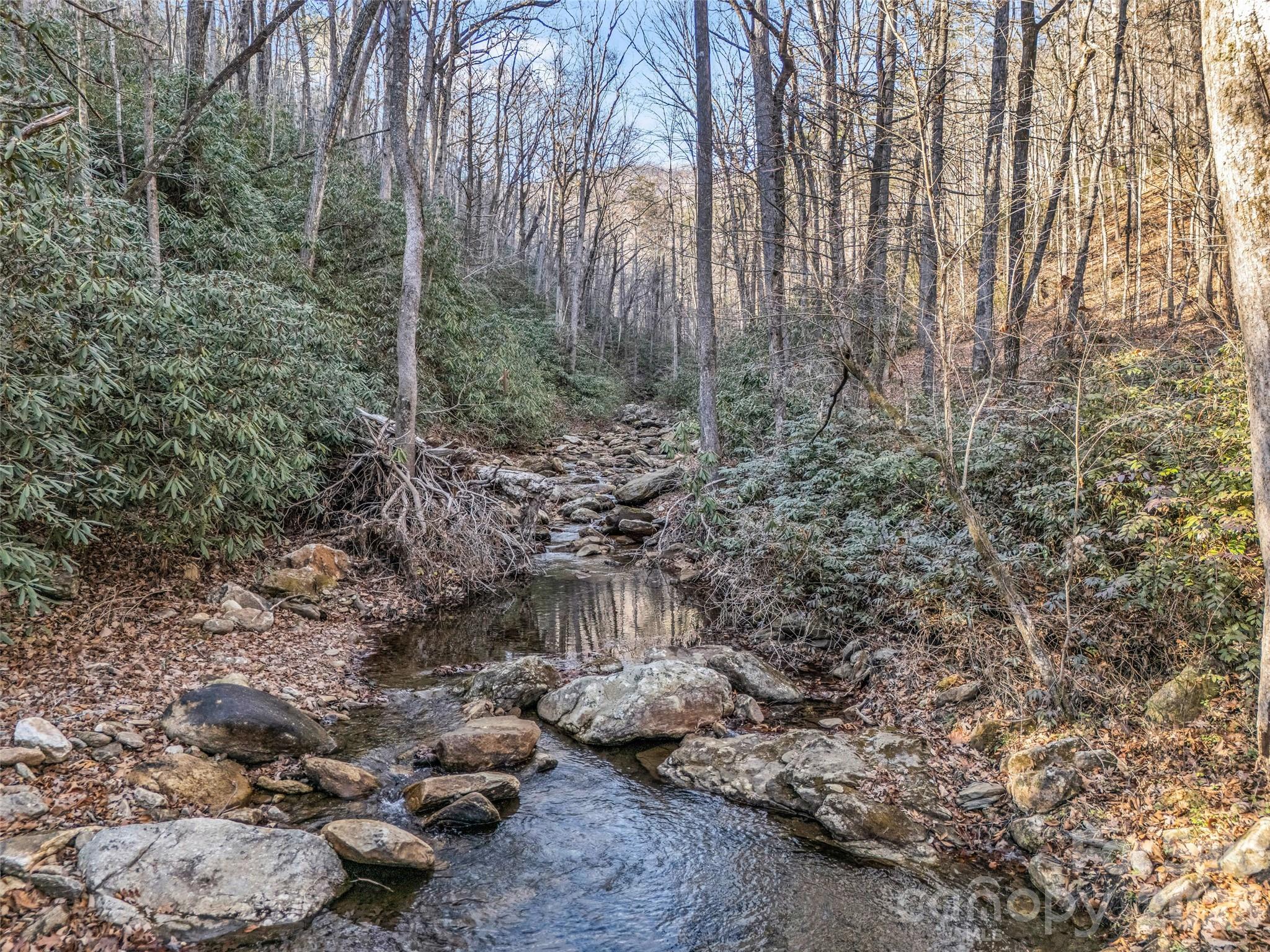 61 Deep Gap Farm Road E Mill Spring NC 28756