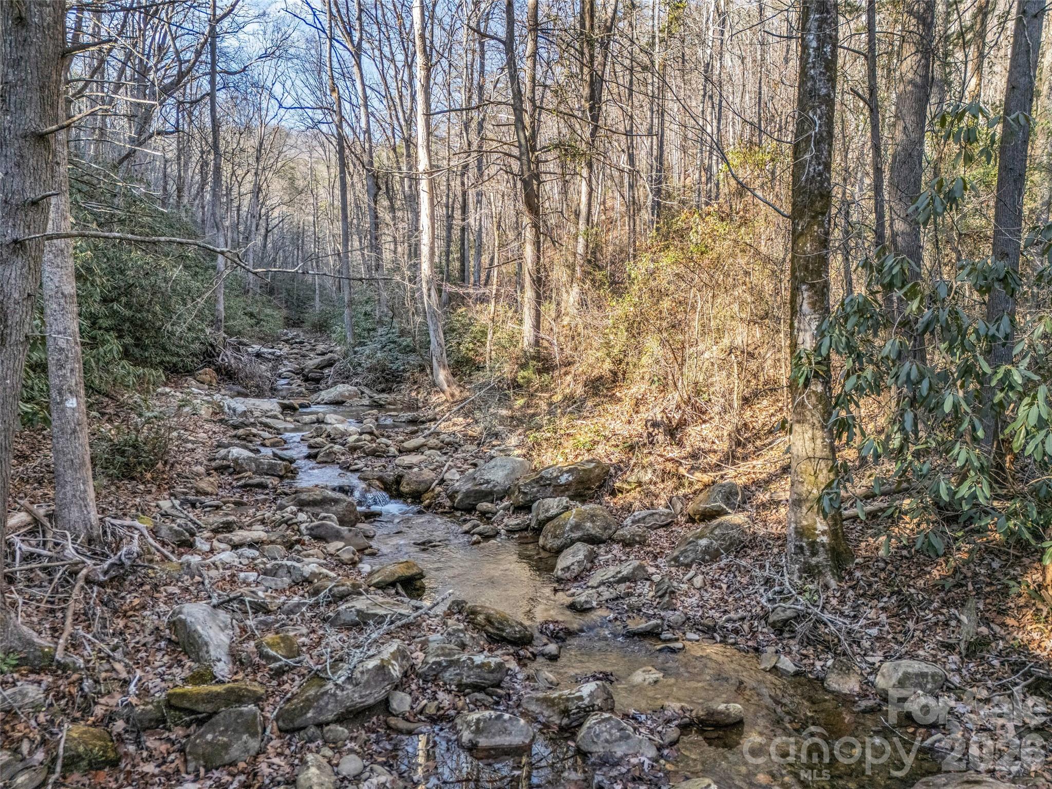 61 Deep Gap Farm Road E Mill Spring NC 28756