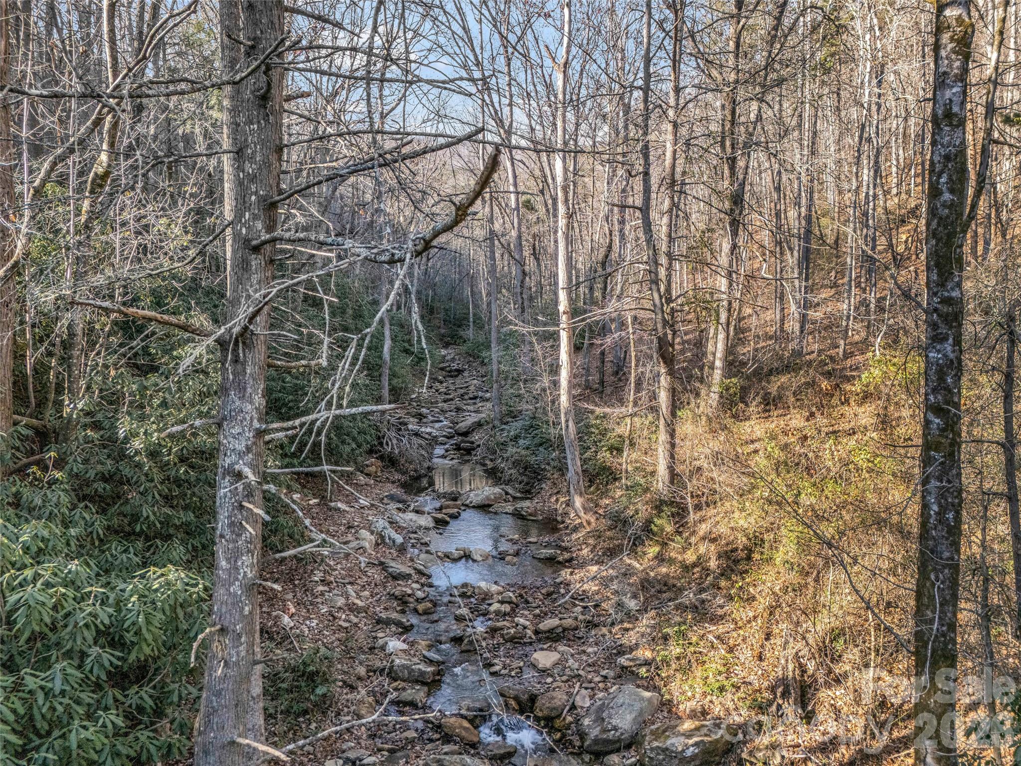 61 Deep Gap Farm Road E Mill Spring NC 28756