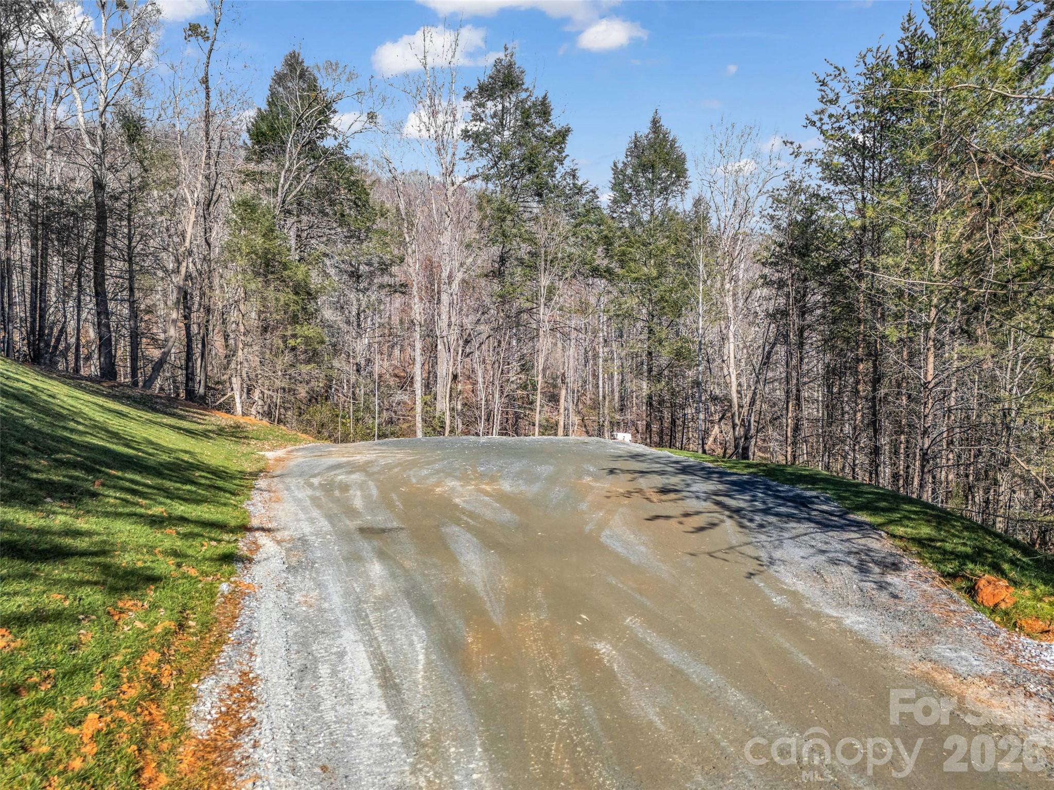 61 Deep Gap Farm Road E Mill Spring NC 28756