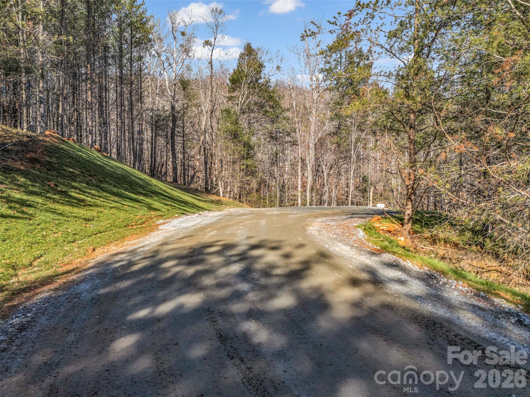 61 Deep Gap Farm Road E Mill Spring NC 28756
