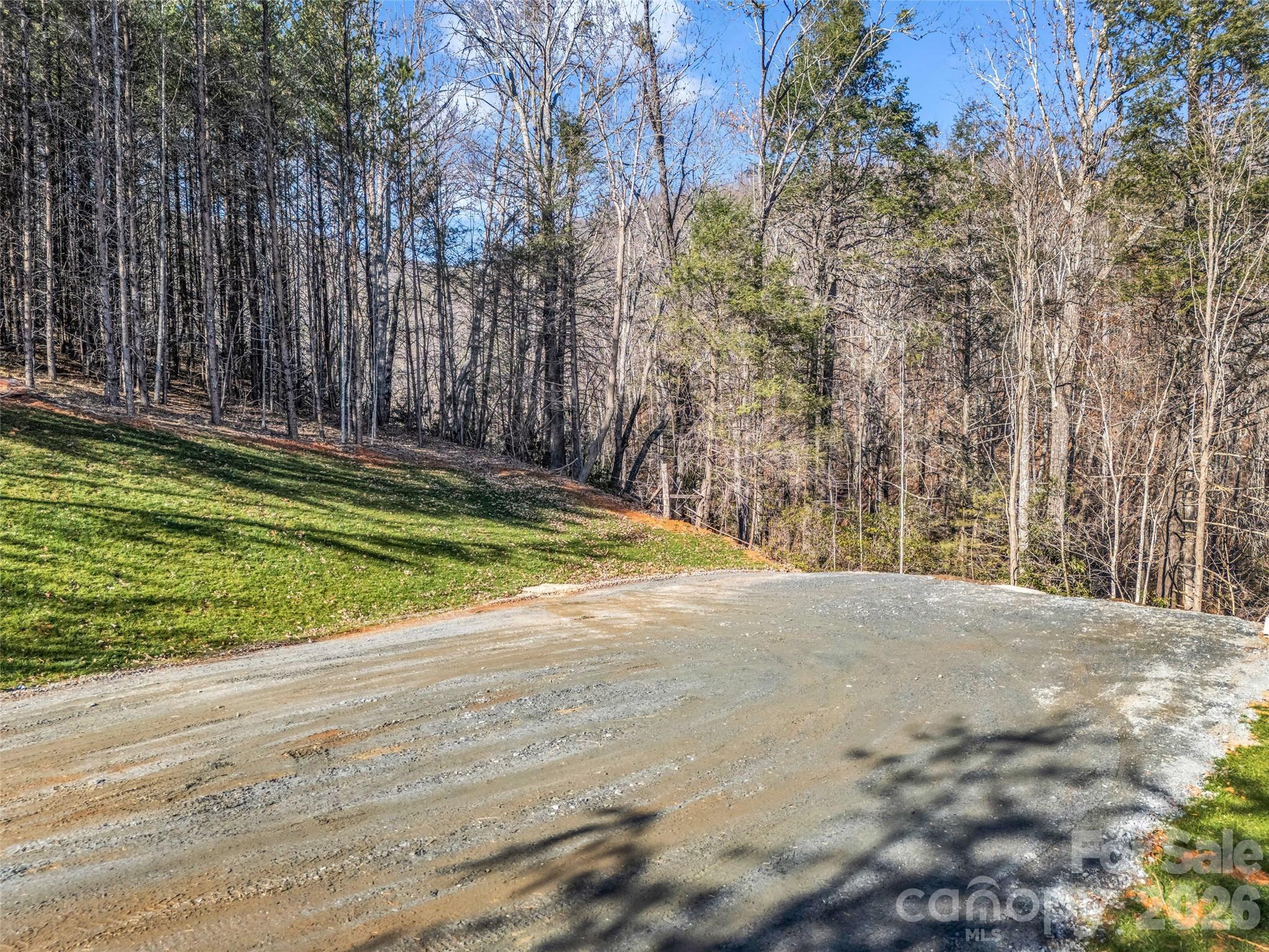 61 Deep Gap Farm Road E Mill Spring NC 28756