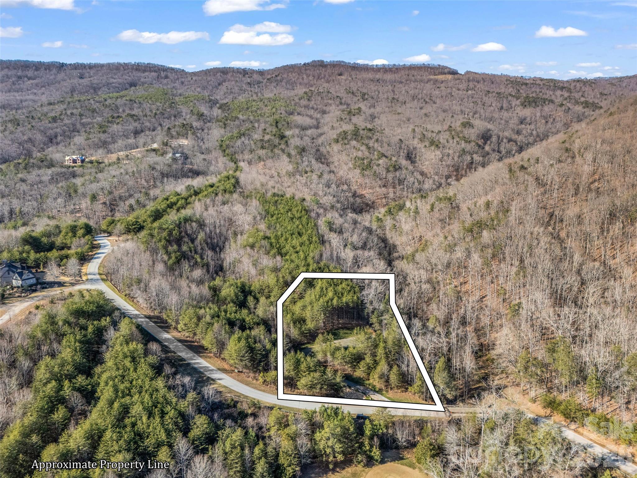 61 Deep Gap Farm Road E Mill Spring NC 28756
