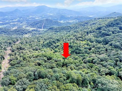 0000 Brigham Drive Waynesville NC 28785