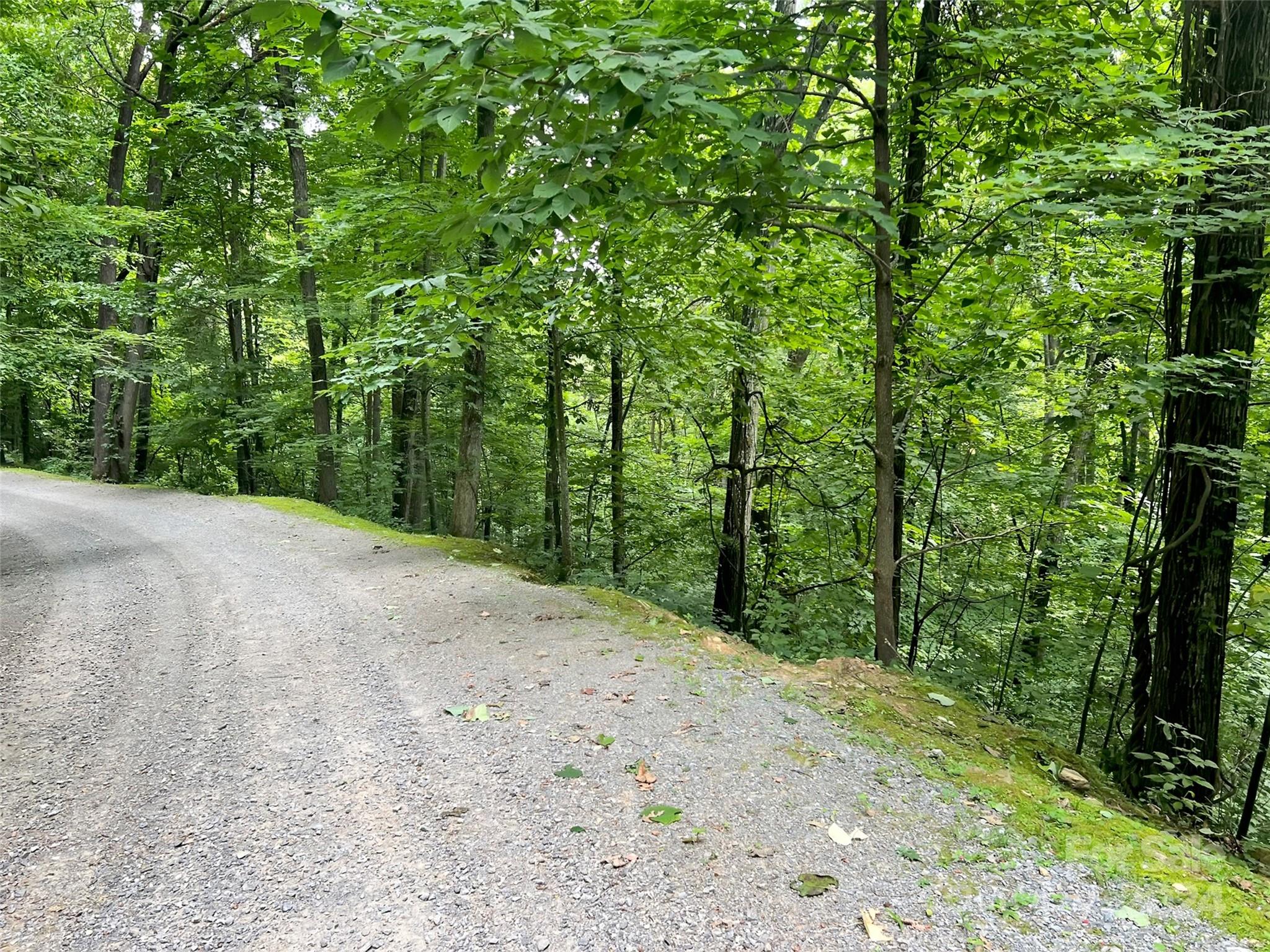 0000 Brigham Drive Waynesville NC 28785
