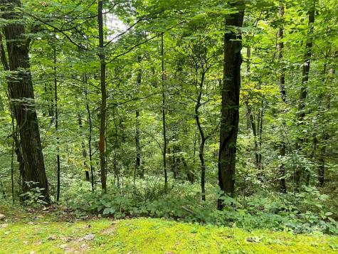 0000 Brigham Drive Waynesville NC 28785