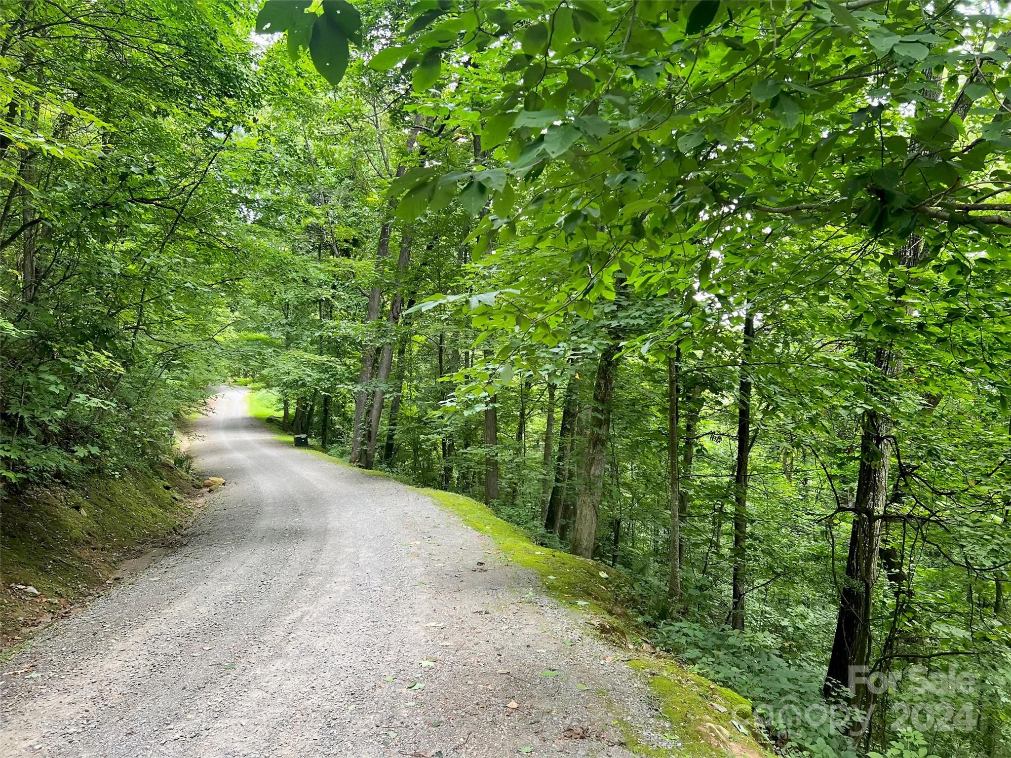 0000 Brigham Drive Waynesville NC 28785