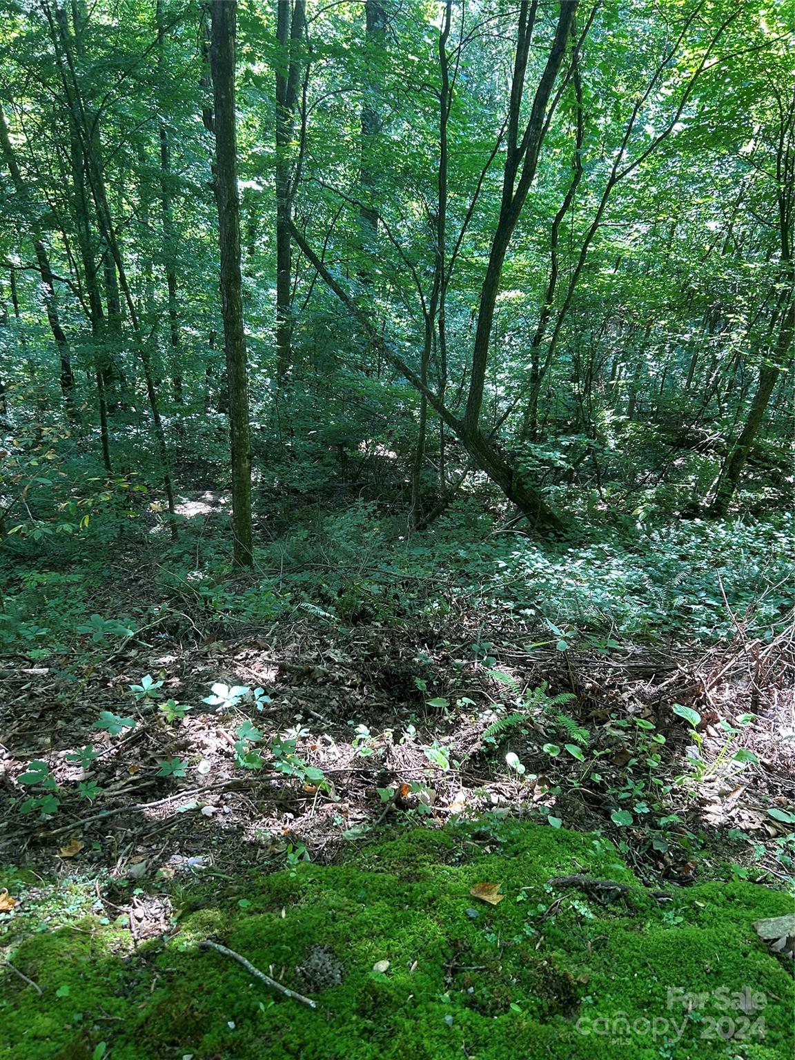 0000 Brigham Drive Waynesville NC 28785