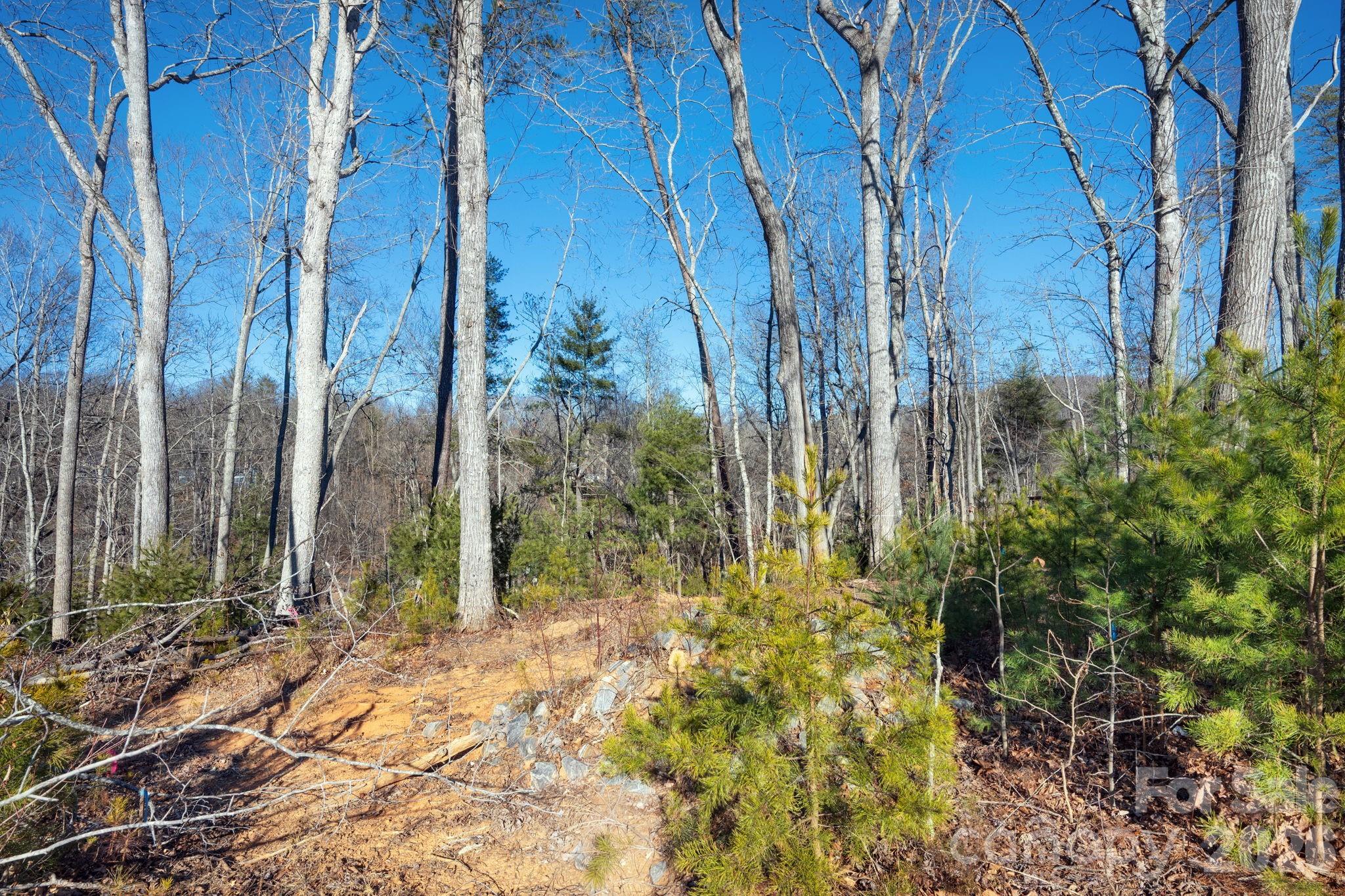 Asheville NC, 136 Riverbend Forest Drive