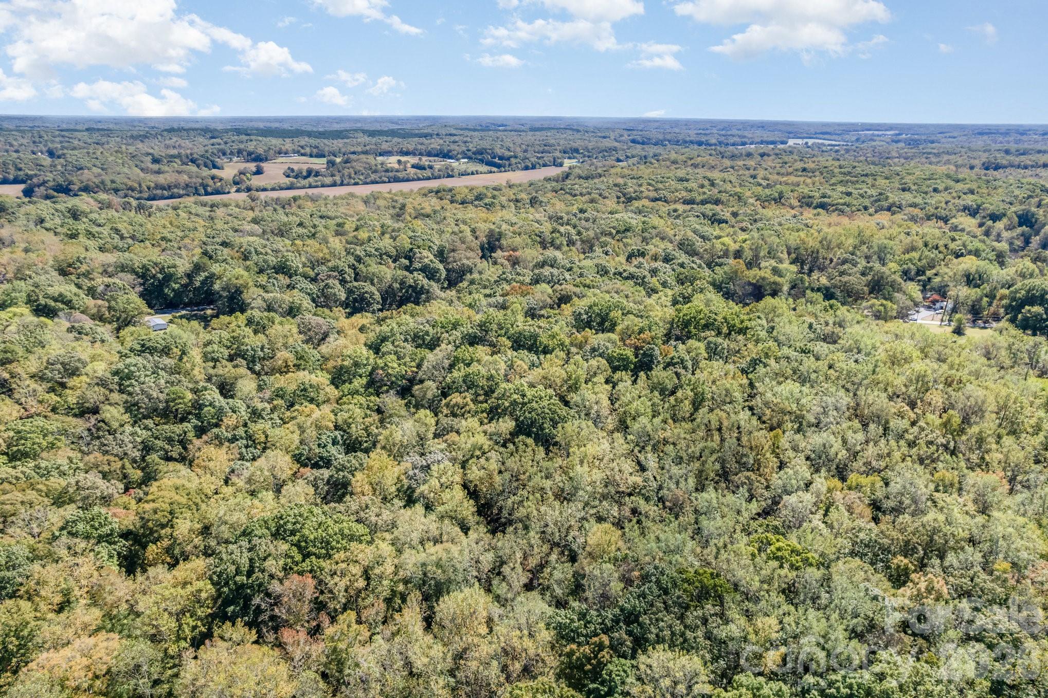 0 Courtney- Huntsville Road Yadkinville NC 27055